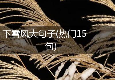 下雪风大句子(热门15句)