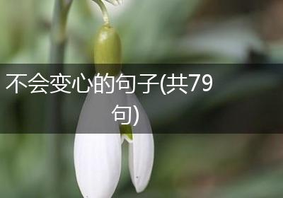 不会变心的句子(共79句)