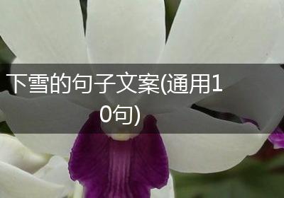 下雪的句子文案(通用10句)
