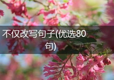 不仅改写句子(优选80句)