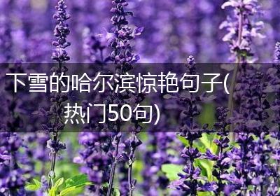 下雪的哈尔滨惊艳句子(热门50句)