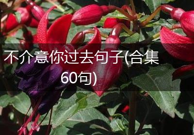 不介意你过去句子(合集60句)