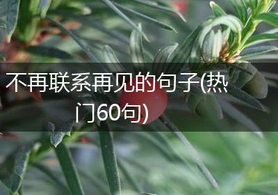 不再联系再见的句子(热门60句)