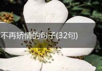 不再矫情的句子(32句)