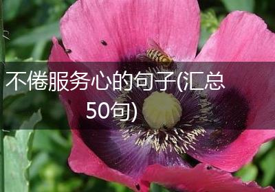 不倦服务心的句子(汇总50句)