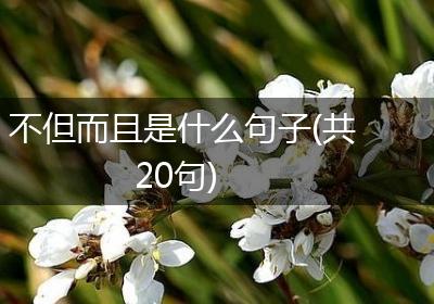 不但而且是什么句子(共20句)