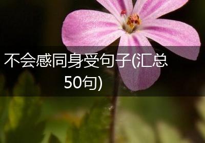 不会感同身受句子(汇总50句)