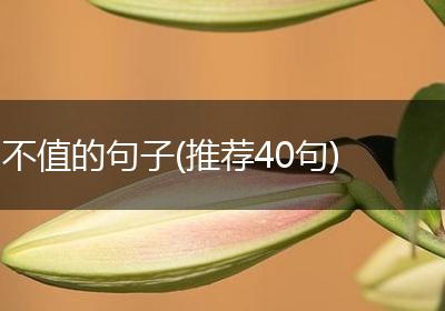 不值的句子(推荐40句)