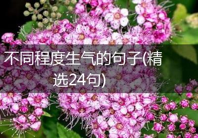 不同程度生气的句子(精选24句)