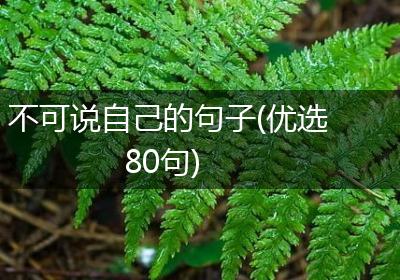 不可说自己的句子(优选80句)