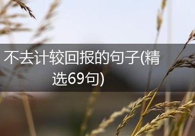 不去计较回报的句子(精选69句)