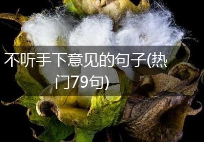 不听手下意见的句子(热门79句)