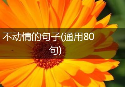 不动情的句子(通用80句)