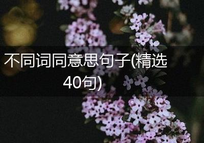 不同词同意思句子(精选40句)