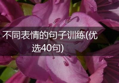 不同表情的句子训练(优选40句)