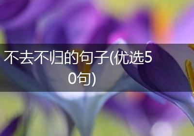 不去不归的句子(优选50句)