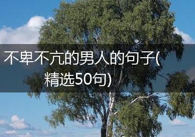 不卑不亢的男人的句子(精选50句)