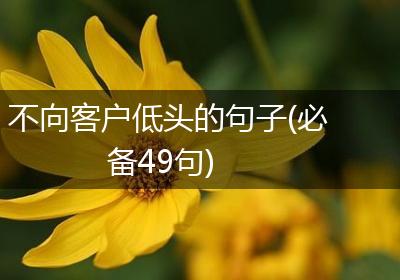 不向客户低头的句子(必备49句)