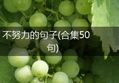 不努力的句子(合集50句)