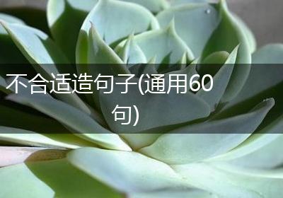 不合适造句子(通用60句)
