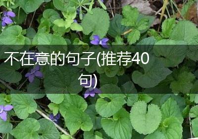 不在意的句子(推荐40句)