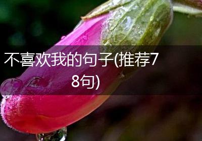 不喜欢我的句子(推荐78句)
