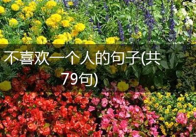 不喜欢一个人的句子(共79句)