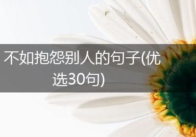 不如抱怨别人的句子(优选30句)