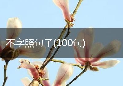不字照句子(100句)