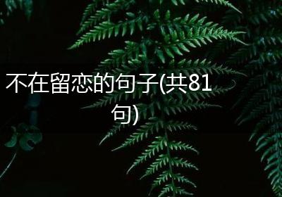 不在留恋的句子(共81句)