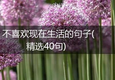 不喜欢现在生活的句子(精选40句)