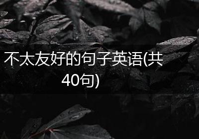 不太友好的句子英语(共40句)