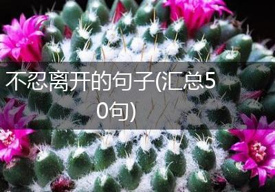 不忍离开的句子(汇总50句)