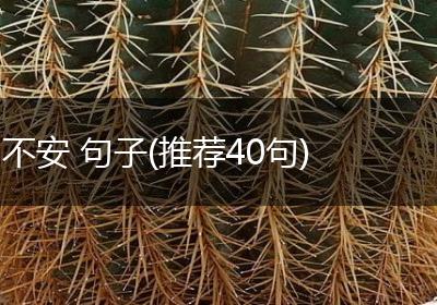 不安 句子(推荐40句)