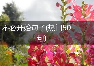 不必开始句子(热门50句)