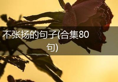 不张扬的句子(合集80句)