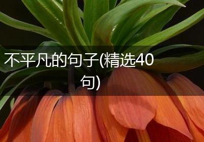 不平凡的句子(精选40句)
