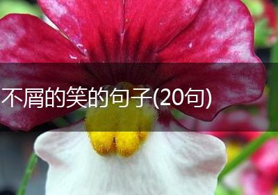 不屑的笑的句子(20句)