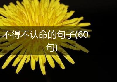不得不认命的句子(60句)