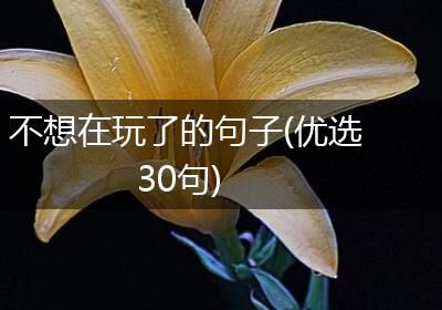 不想在玩了的句子(优选30句)