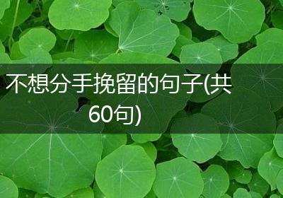 不想分手挽留的句子(共60句)