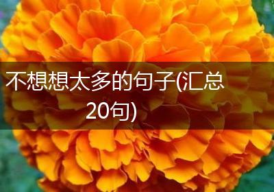 不想想太多的句子(汇总20句)