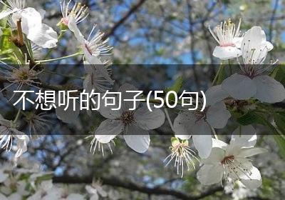 不想听的句子(50句)