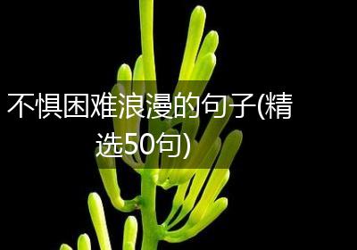 不惧困难浪漫的句子(精选50句)