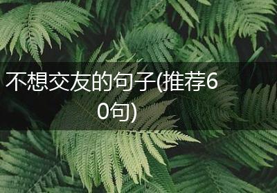 不想交友的句子(推荐60句)