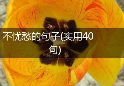 不忧愁的句子(实用40句)