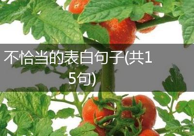 不恰当的表白句子(共15句)