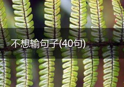 不想输句子(40句)