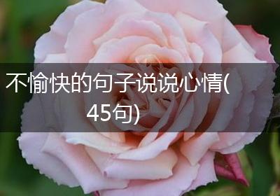不愉快的句子说说心情(45句)
