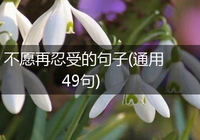 不愿再忍受的句子(通用49句)
